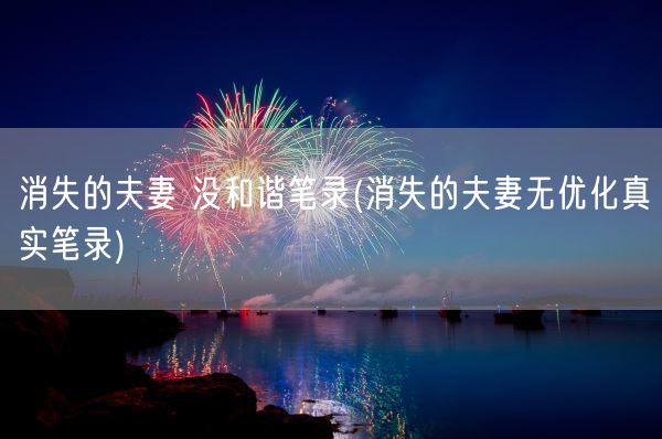 消失的夫妻 没和谐笔录(消失的夫妻无优化真实笔录)(图1)