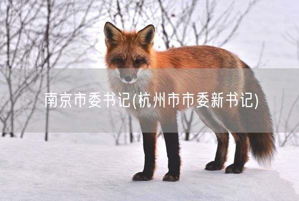 南京市委书记(杭州市市委新书记)(图1) 南京市委书记(杭州市市委新书记)(图1)