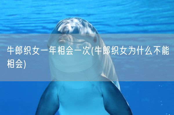 牛郎织女一年相会一次(牛郎织女为什么不能相会)(图1)