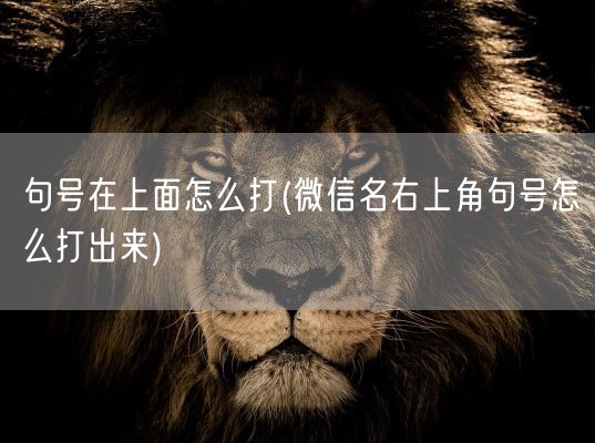 句号在上面怎么打(微信名右上角句号怎么打出来)(图1)