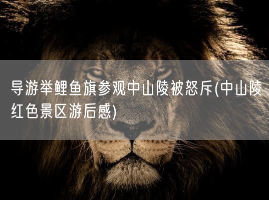 导游举鲤鱼旗参观中山陵被怒斥(中山陵红色景区游后感)(图1)