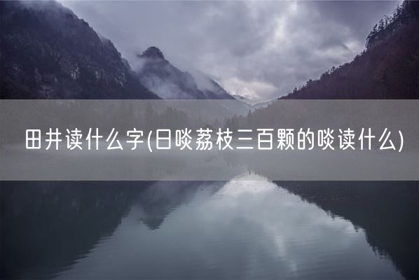 田井读什么字(日啖荔枝三百颗的啖读什么)(图1)