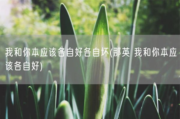 我和你本应该各自好各自坏(那英 我和你本应该各自好)(图1)