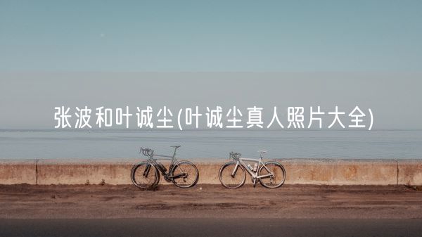 张波和叶诚尘(叶诚尘真人照片大全)(图1)