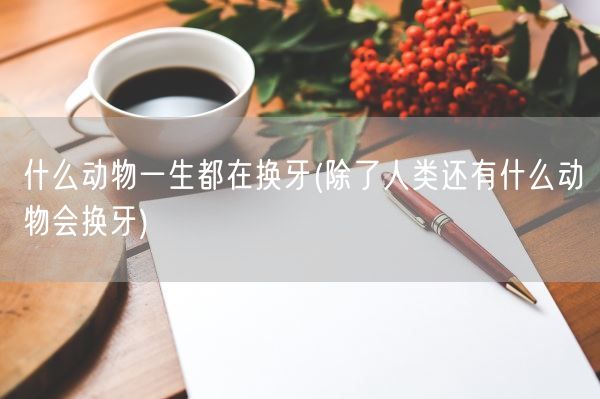 什么动物一生都在换牙(除了人类还有什么动物会换牙)(图1)