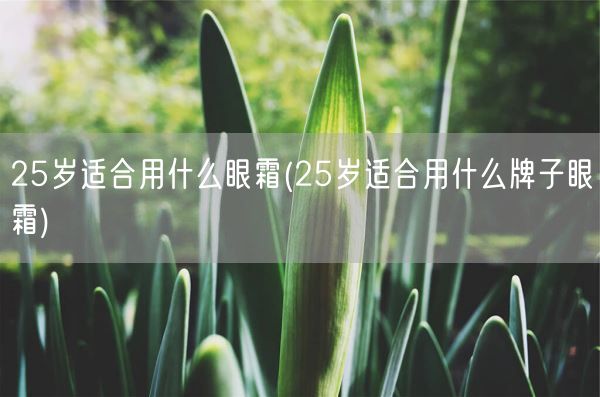 25岁适合用什么眼霜(25岁适合用什么牌子眼霜)(图1)