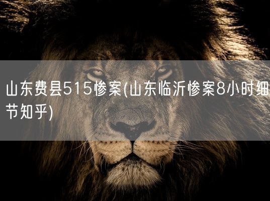 山东费县515惨案(山东临沂惨案8小时细节知乎)(图1)