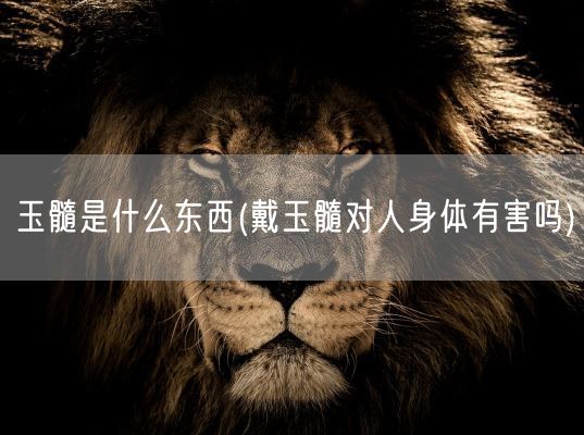 玉髓是什么东西(戴玉髓对人身体有害吗)(图1)