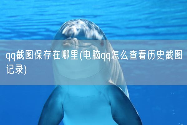 qq截图保存在哪里(电脑qq怎么查看历史截图记录)(图1)