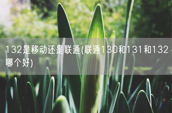132是移动还是联通(联通130和131和132哪个好)(图1)