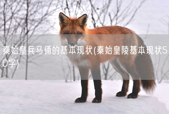 秦始皇兵马俑的基本现状(秦始皇陵基本现状50字)(图1)