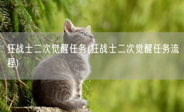 狂战士二次觉醒任务(狂战士二次觉醒任务流程)(图1)