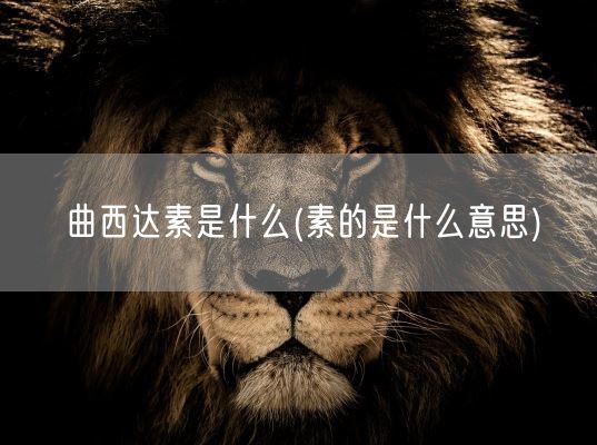 曲西达素是什么(素的是什么意思)(图1) 曲西达素是什么(素的是什么意思)(图1)