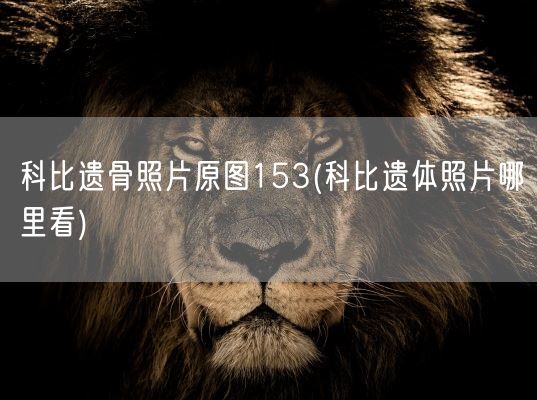 科比遗骨照片原图153(科比遗体照片哪里看)(图1)