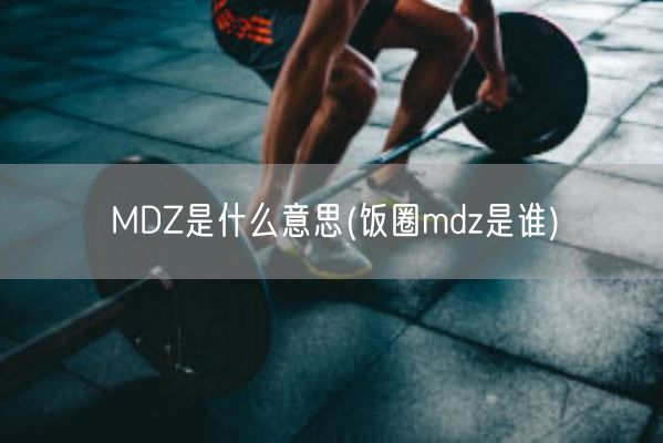 MDZ是什么意思(饭圈mdz是谁)(图1)