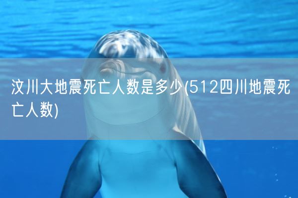 汶川大地震死亡人数是多少(512四川地震死亡人数)(图1) 汶川大地震死亡人数是多少(512四川地震死亡人数)(图1)