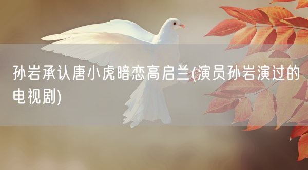 孙岩承认唐小虎暗恋高启兰(演员孙岩演过的电视剧)(图1)