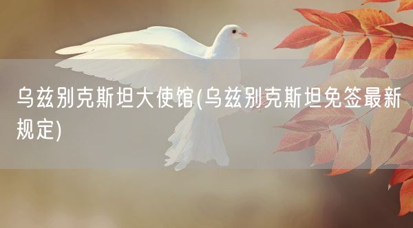 乌兹别克斯坦大使馆(乌兹别克斯坦免签最新规定)(图1)