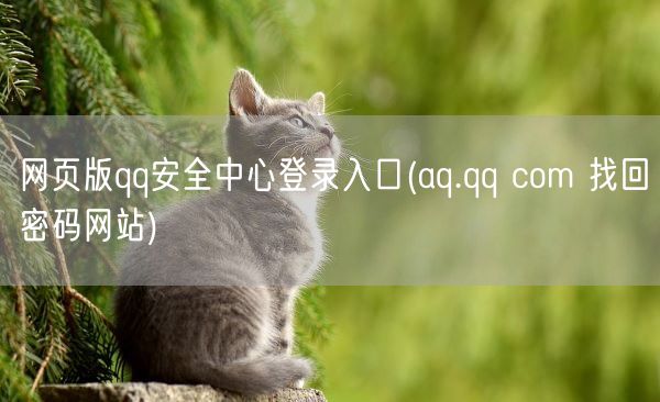 网页版qq安全中心登录入口(aq.qq com 找回密码网站)(图1)