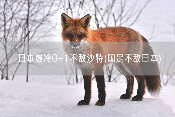 日本爆冷0-1不敌沙特(国足不敌日本)(图1)