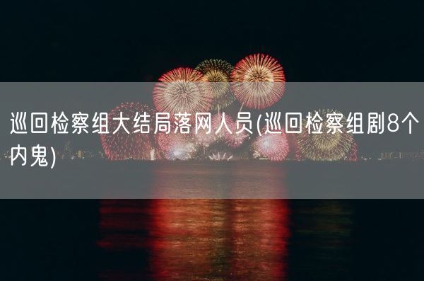 巡回检察组大结局落网人员(巡回检察组剧8个内鬼)(图1)