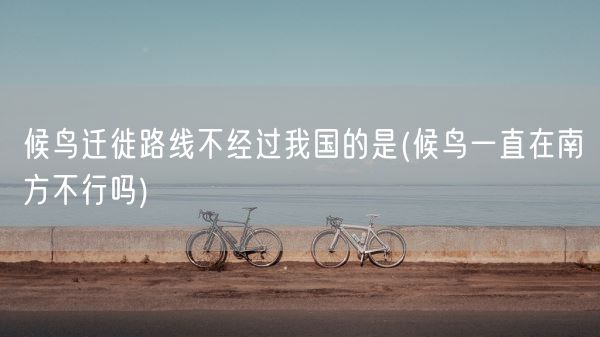 候鸟迁徙路线不经过我国的是(候鸟一直在南方不行吗)(图1)