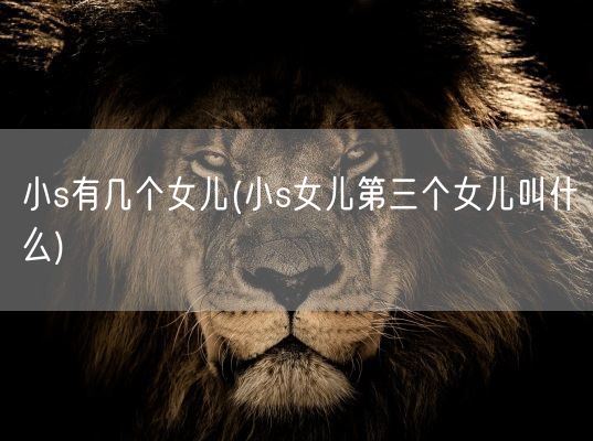 小s有几个女儿(小s女儿第三个女儿叫什么)(图1)