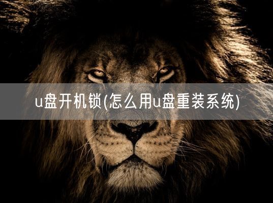 u盘开机锁(怎么用u盘重装系统)(图1)