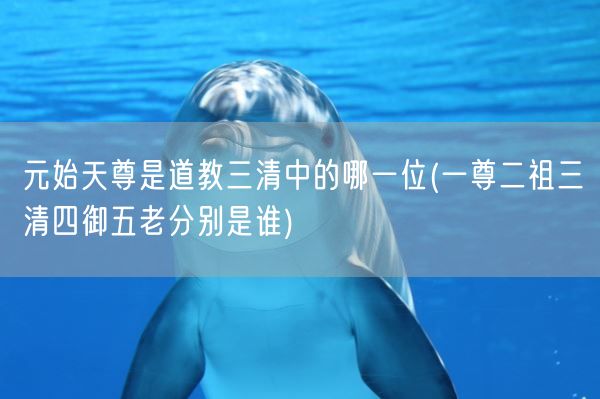 元始天尊是道教三清中的哪一位(一尊二祖三清四御五老分别是谁)(图1)
