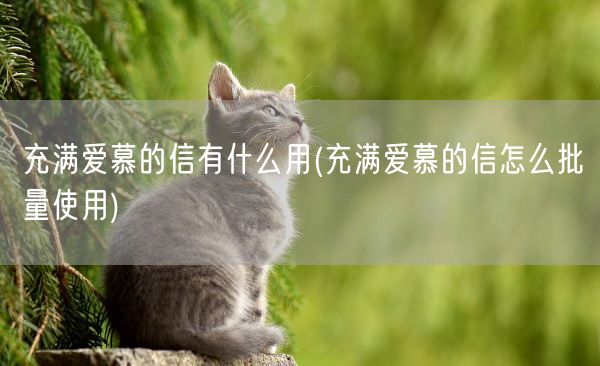 充满爱慕的信有什么用(充满爱慕的信怎么批量使用)(图1)