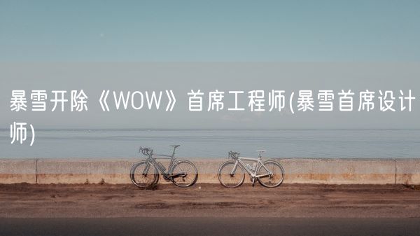 暴雪开除《WOW》首席工程师(暴雪首席设计师)(图1)
