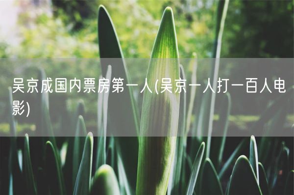 吴京成国内票房第一人(吴京一人打一百人电影)(图1)