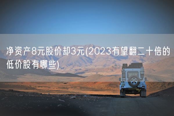 净资产8元股价却3元(2023有望翻二十倍的低价股有哪些)(图1)