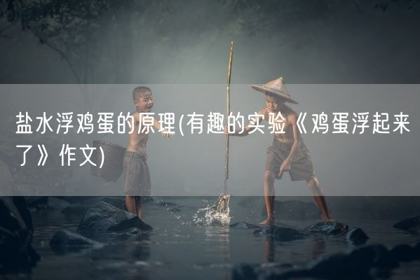 盐水浮鸡蛋的原理(有趣的实验《鸡蛋浮起来了》作文)(图1)