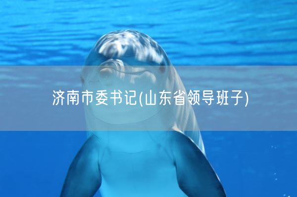 济南市委书记(山东省领导班子)(图1)