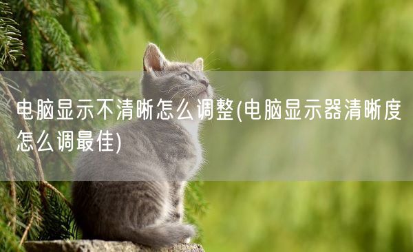 电脑显示不清晰怎么调整(电脑显示器清晰度怎么调最佳)(图1)
