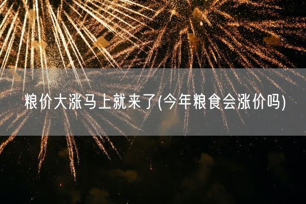 粮价大涨马上就来了(今年粮食会涨价吗)(图1)