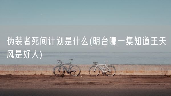 伪装者死间计划是什么(明台哪一集知道王天风是好人)(图1)