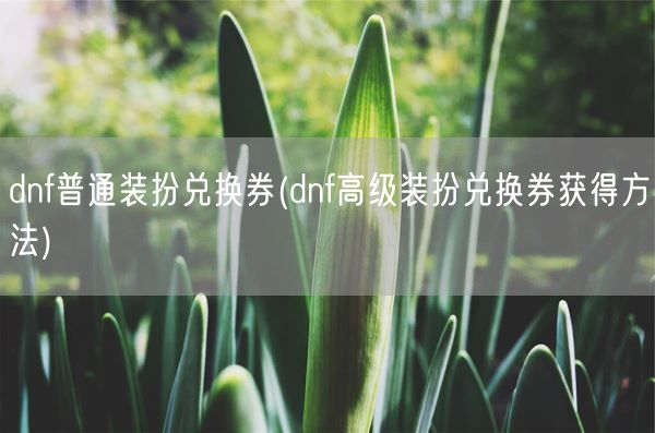 dnf普通装扮兑换券(dnf高级装扮兑换券获得方法)(图1)