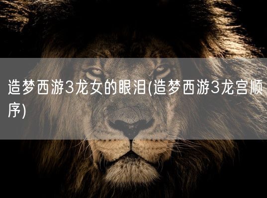 造梦西游3龙女的眼泪(造梦西游3龙宫顺序)(图1)