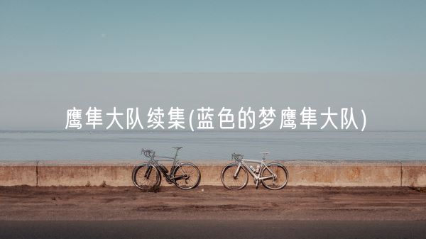 鹰隼大队续集(蓝色的梦鹰隼大队)(图1) 鹰隼大队续集(蓝色的梦鹰隼大队)(图1)