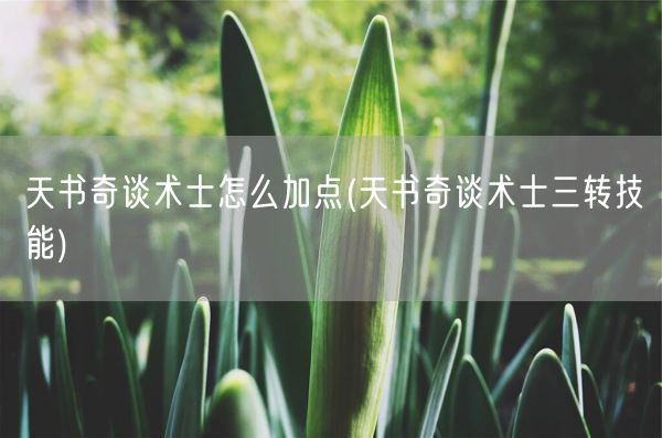 天书奇谈术士怎么加点(天书奇谈术士三转技能)(图1) 天书奇谈术士怎么加点(天书奇谈术士三转技能)(图1)