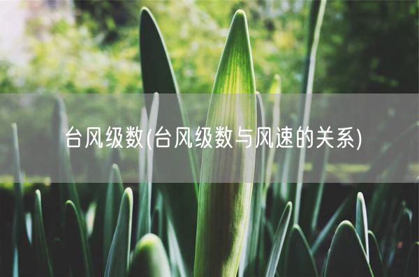 台风级数(台风级数与风速的关系)(图1)