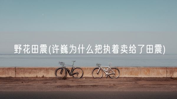 野花田震(许巍为什么把执着卖给了田震)(图1) 野花田震(许巍为什么把执着卖给了田震)(图1)