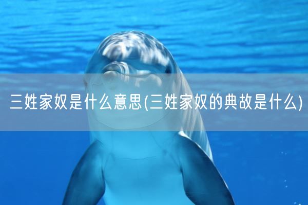 三姓家奴是什么意思(三姓家奴的典故是什么)(图1) 三姓家奴是什么意思(三姓家奴的典故是什么)(图1)