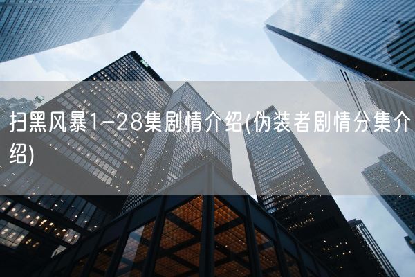 扫黑风暴1-28集剧情介绍(伪装者剧情分集介绍)(图1)