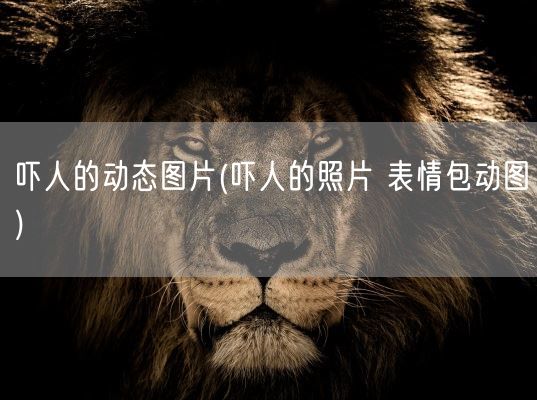 吓人的动态图片(吓人的照片 表情包动图)(图1) 吓人的动态图片(吓人的照片 表情包动图)(图1)