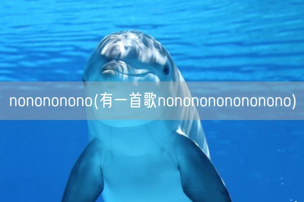 nonononono(有一首歌nononononononono)(图1)