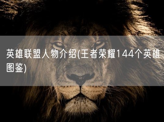 英雄联盟人物介绍(王者荣耀144个英雄图鉴)(图1) 英雄联盟人物介绍(王者荣耀144个英雄图鉴)(图1)