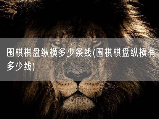 围棋棋盘纵横多少条线(围棋棋盘纵横有多少线)(图1) 围棋棋盘纵横多少条线(围棋棋盘纵横有多少线)(图1)